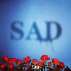 客户视频小蛇导航
