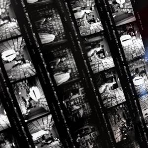 客户视频小蛇导航
