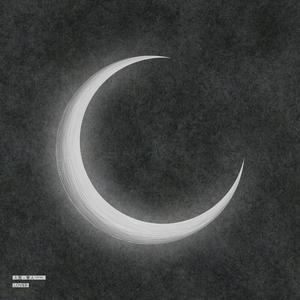 客户视频小蛇导航
